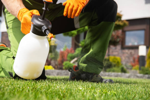 Best Emergency Pest Control  in Moose Lake, MN