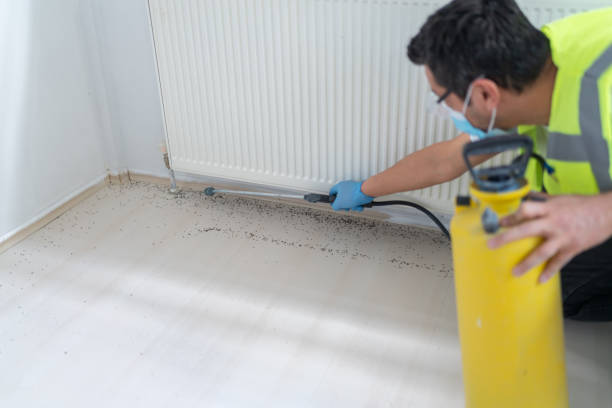 Best Cockroach Control Services  in Moose Lake, MN